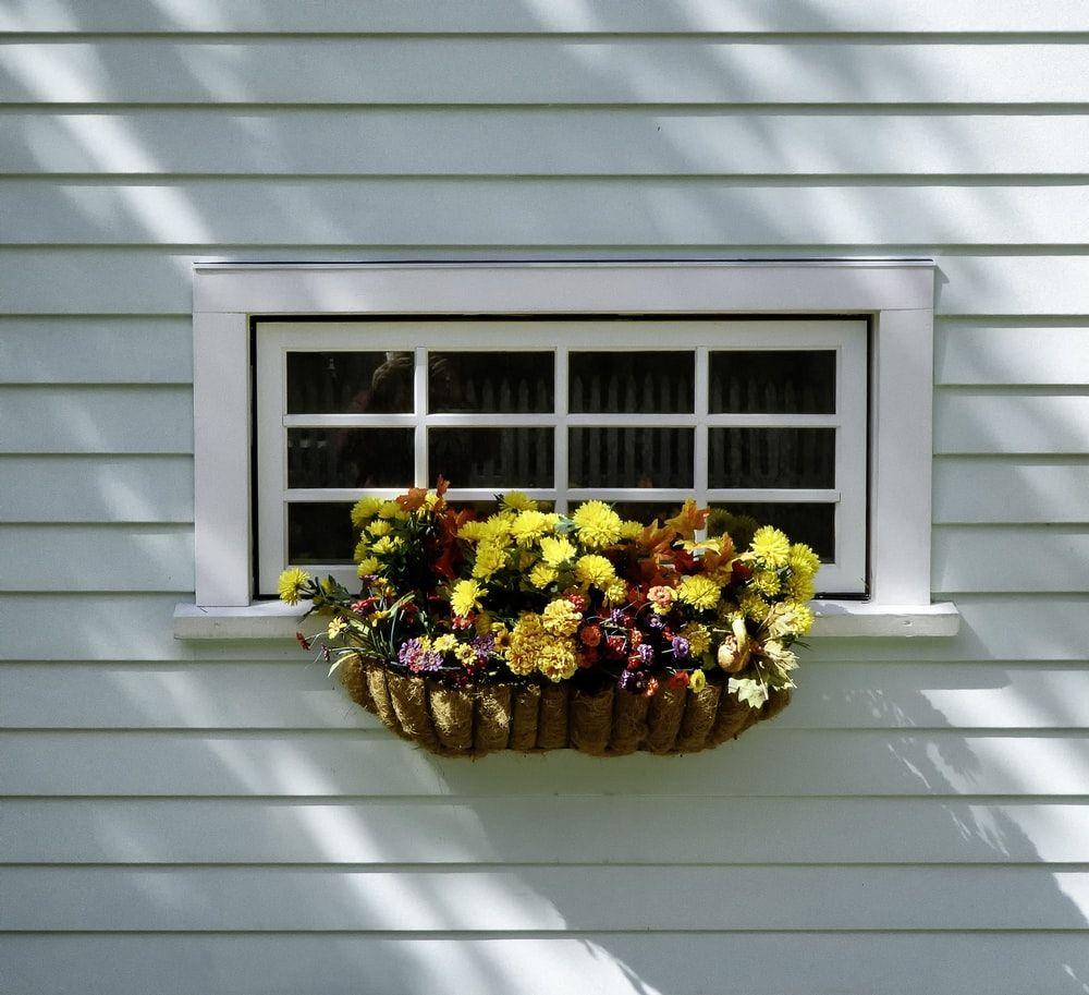 1000x913 Georgetown Picture. Download Free Image