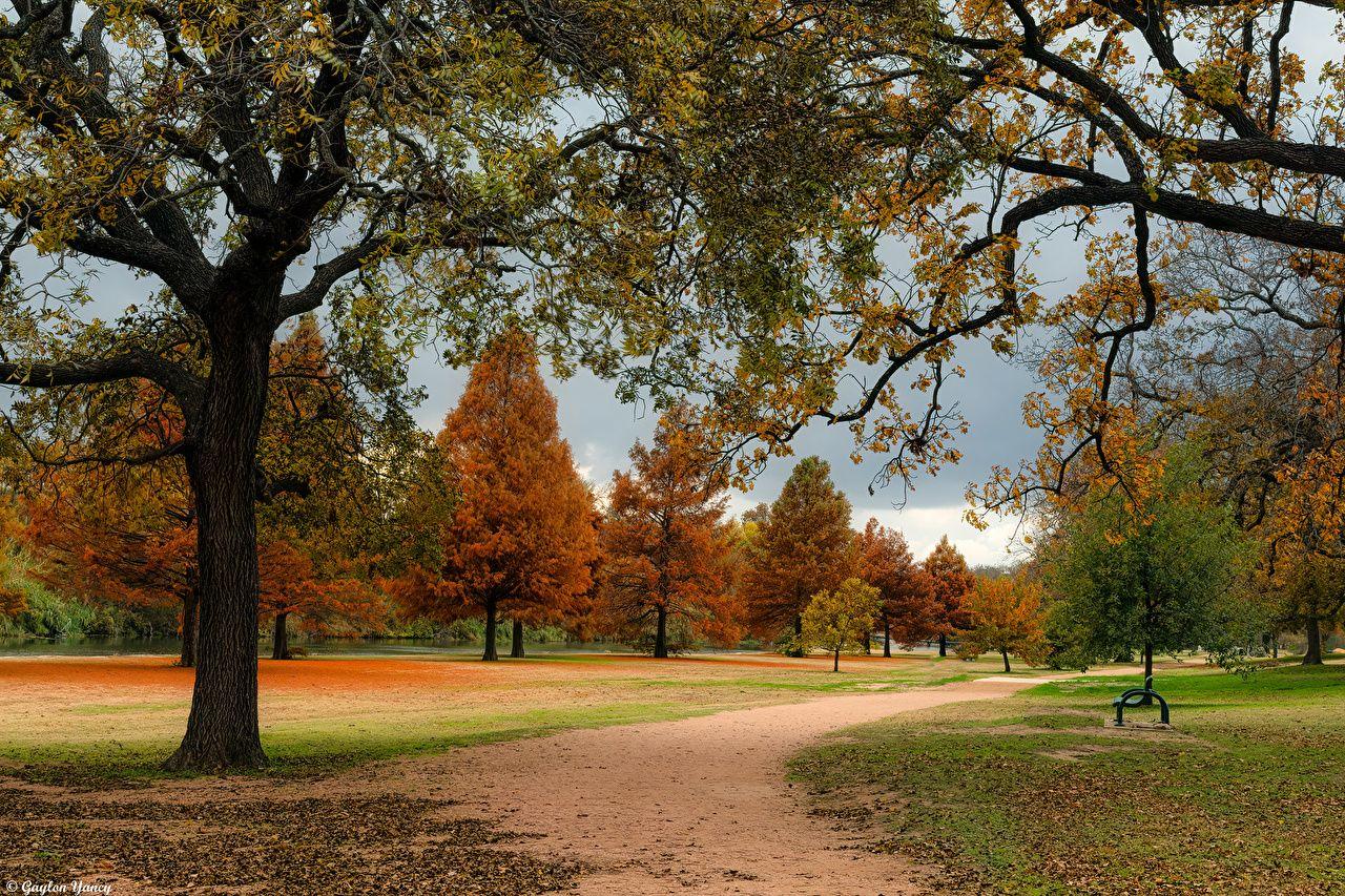1280x853 image Texas USA North Georgetown Nature Autumn Parks Trees