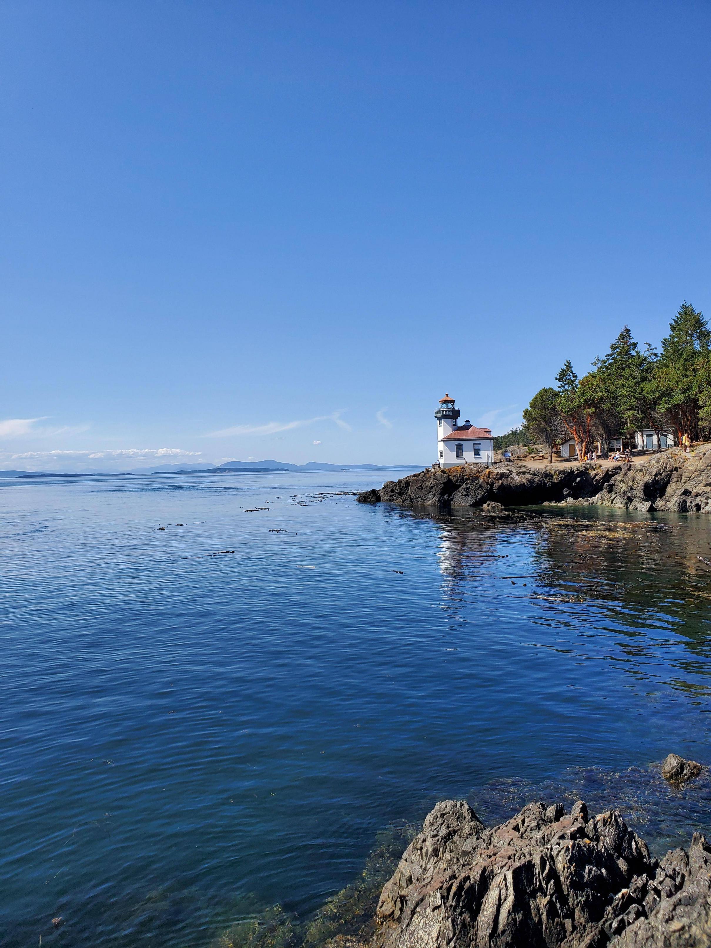 2419x3226 Current wallpaper, took this on San Juan Island, WA