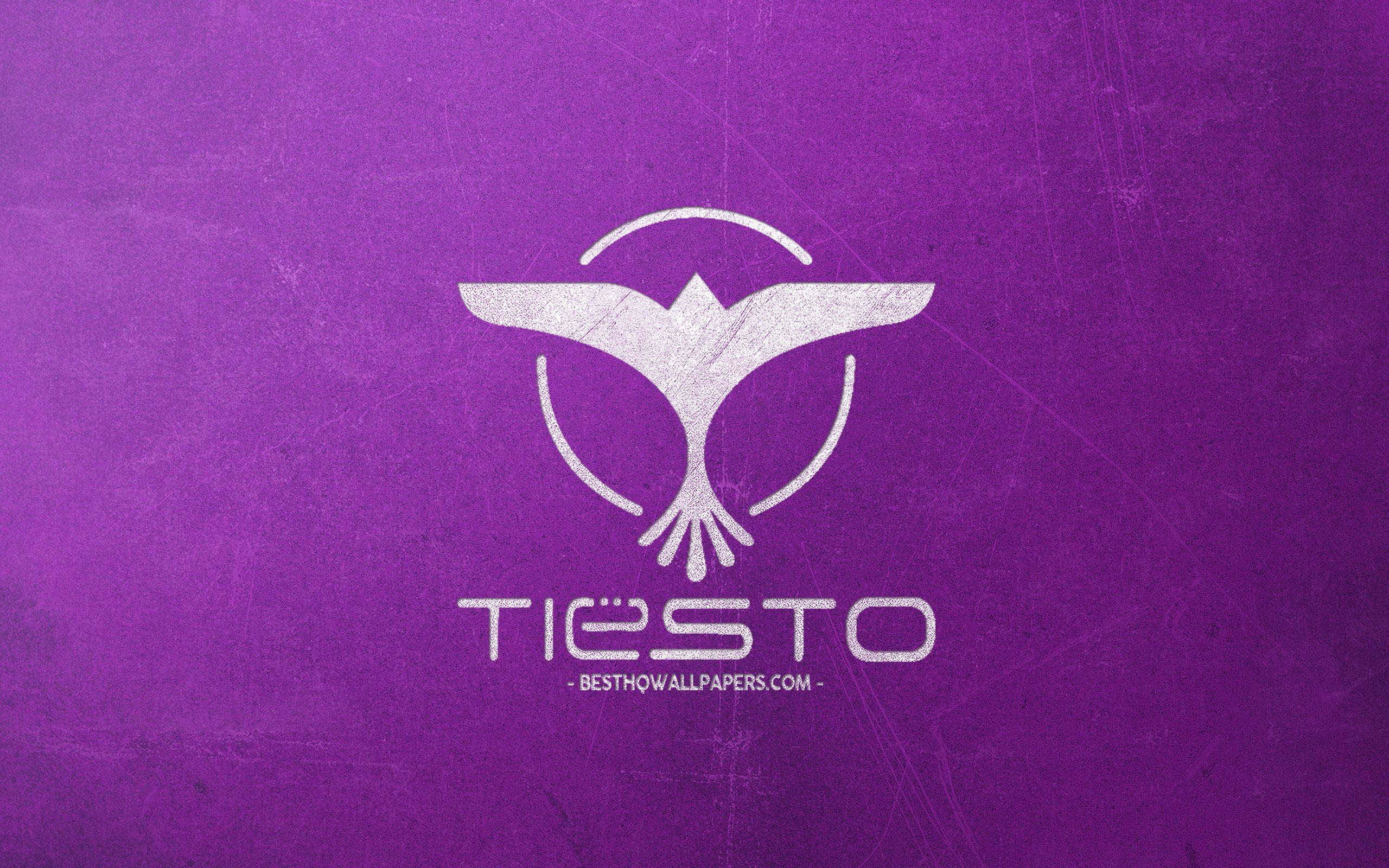 2560x1600 Download wallpaper Tiesto, white chalk logo, Dutch DJ, purple