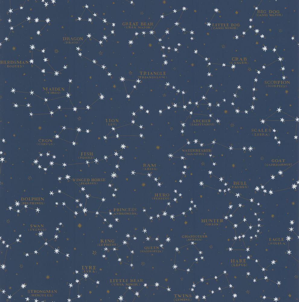 991x1000 Collection North Hemisphere Midnight Blue wallpaper