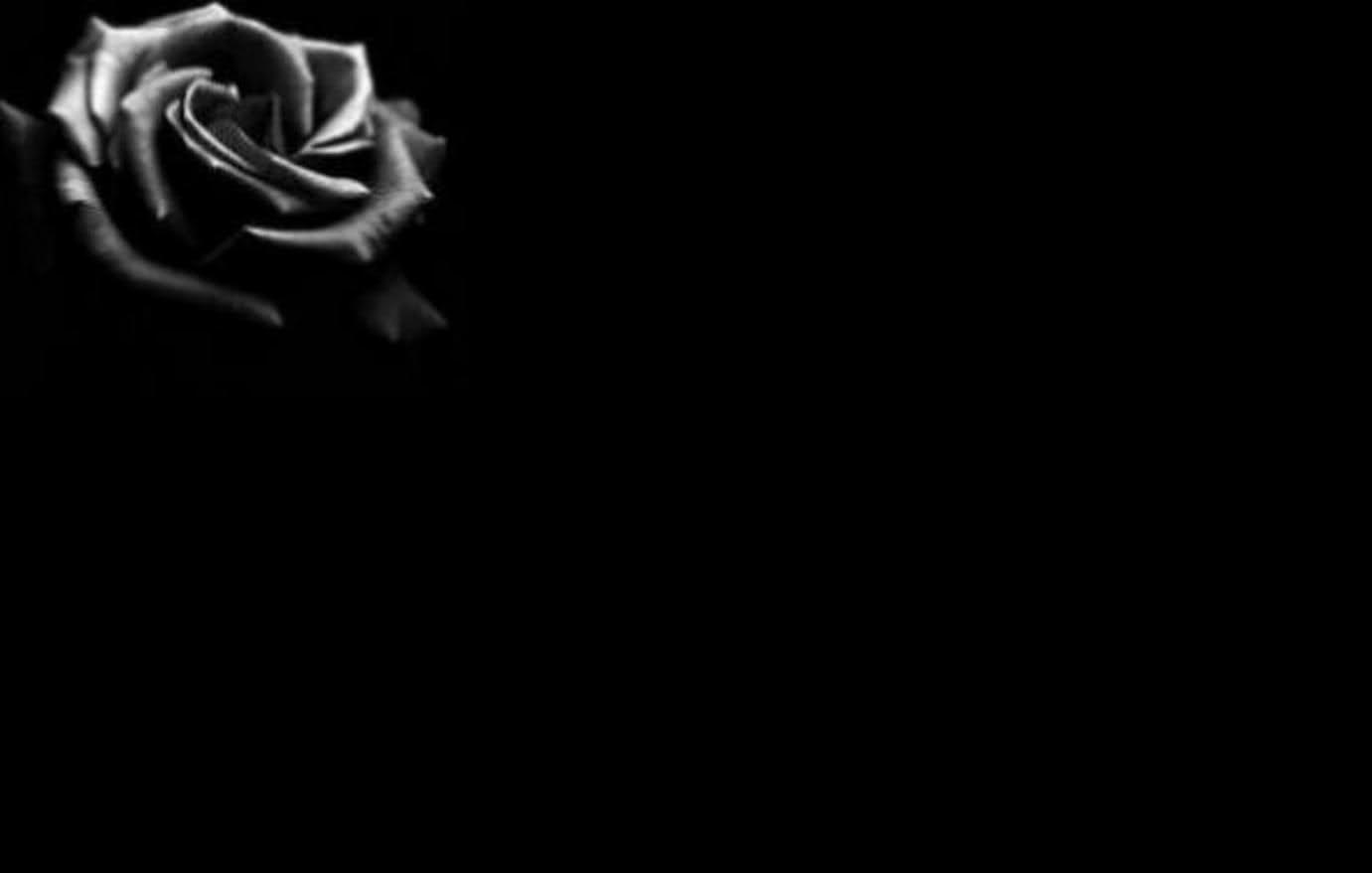 1381x879 Black Roses Background