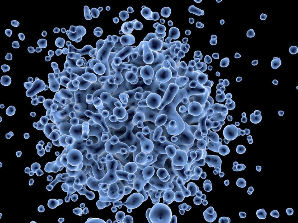 1024x768 FreightWaves: Impacts Of The Coronavirus On Global Shipping