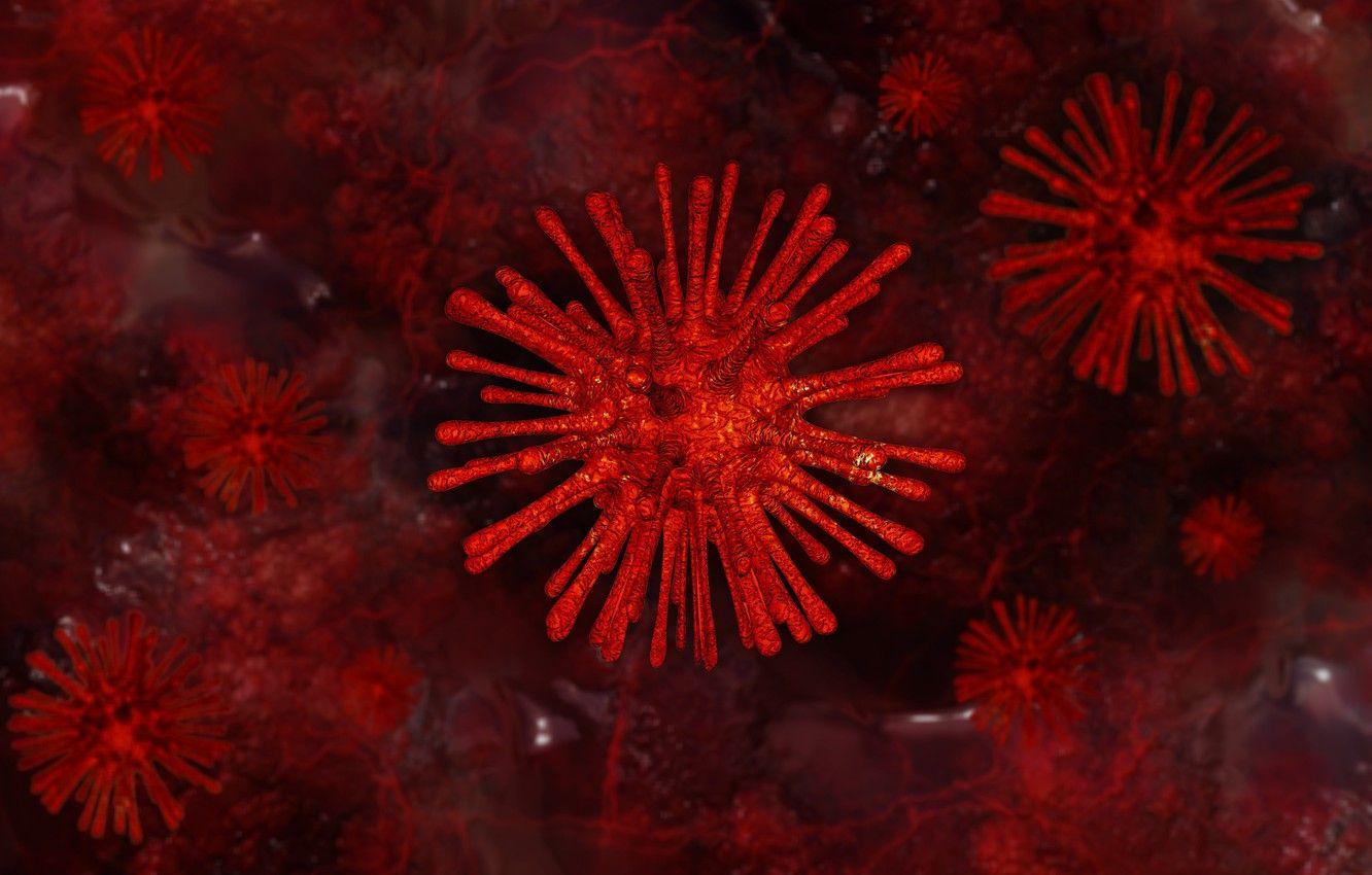 1332x850 Wallpaper macro, red, rendering, background, model, color, form