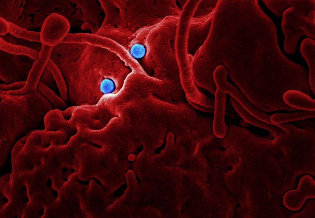 1080x749 Coronavirus Picture. Download Free Image