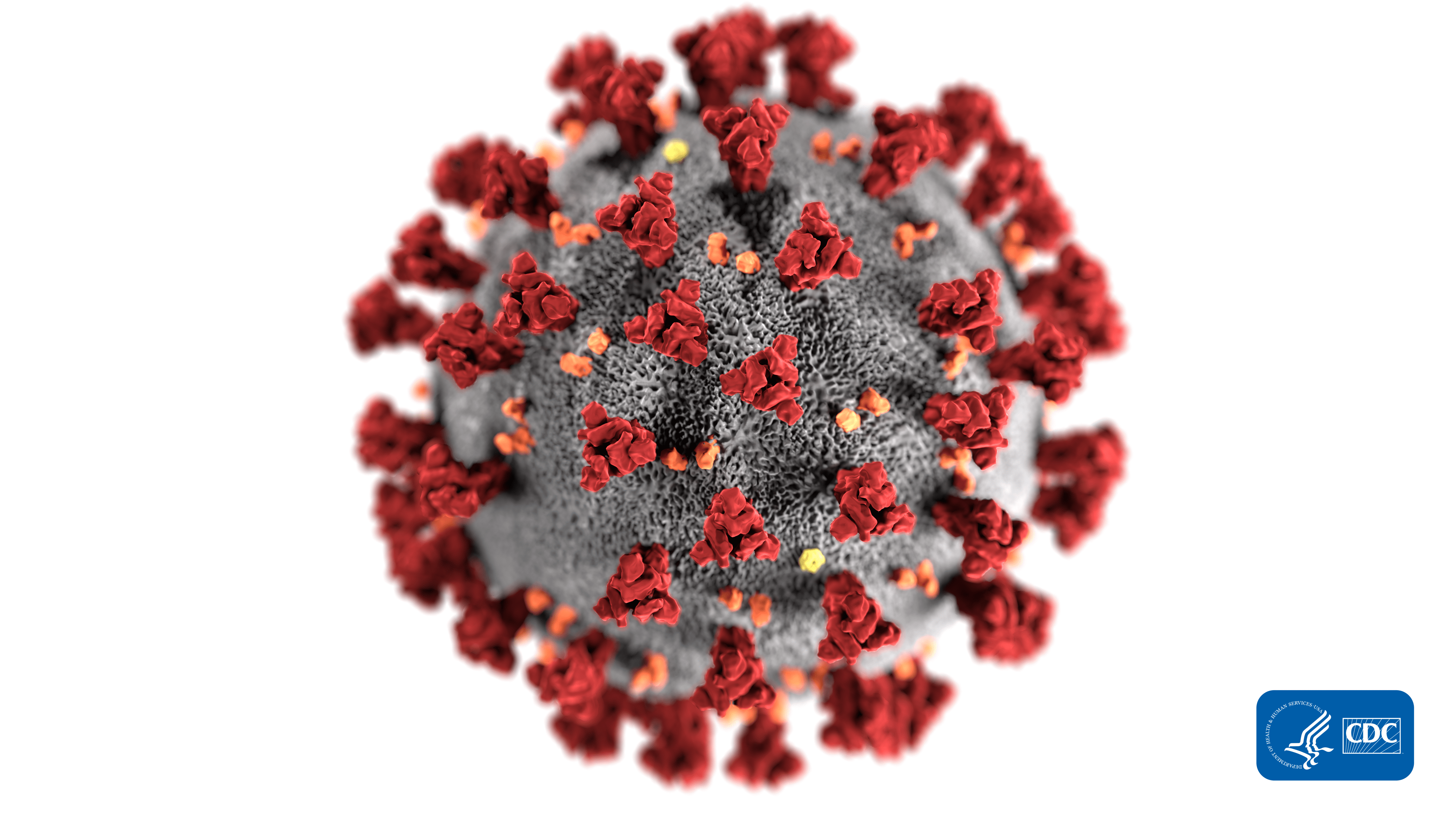 4000x2250 Image Library. CDC Online Newsroom