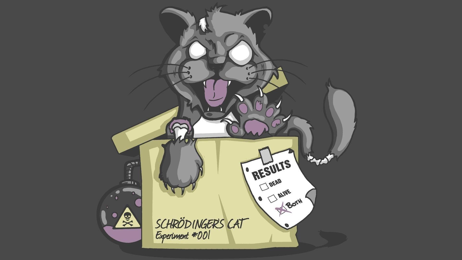 Schrödinger's Cat Wallpapers - Top Free Schrödinger's Cat Backgrounds - WallpaperAccess