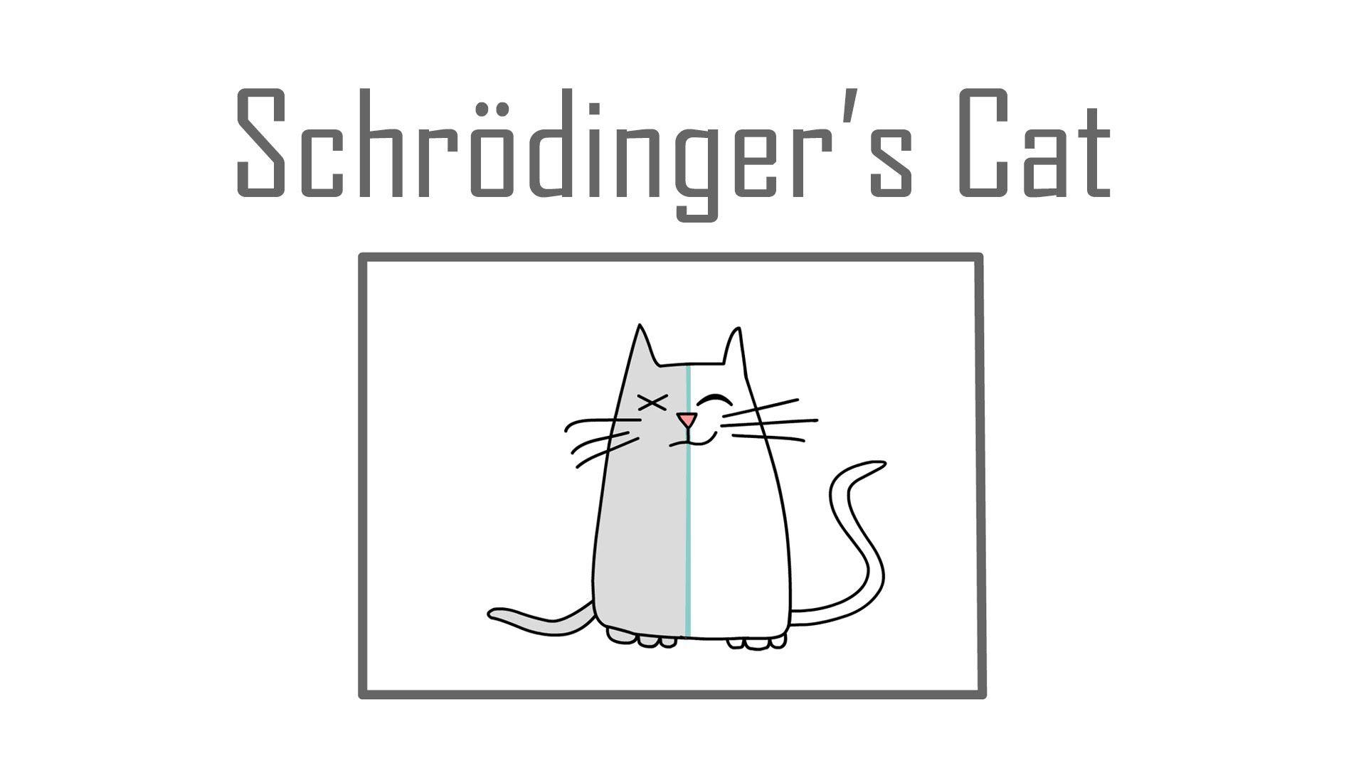 Schrödinger's Cat Wallpapers - Top Free Schrödinger's Cat Backgrounds - WallpaperAccess