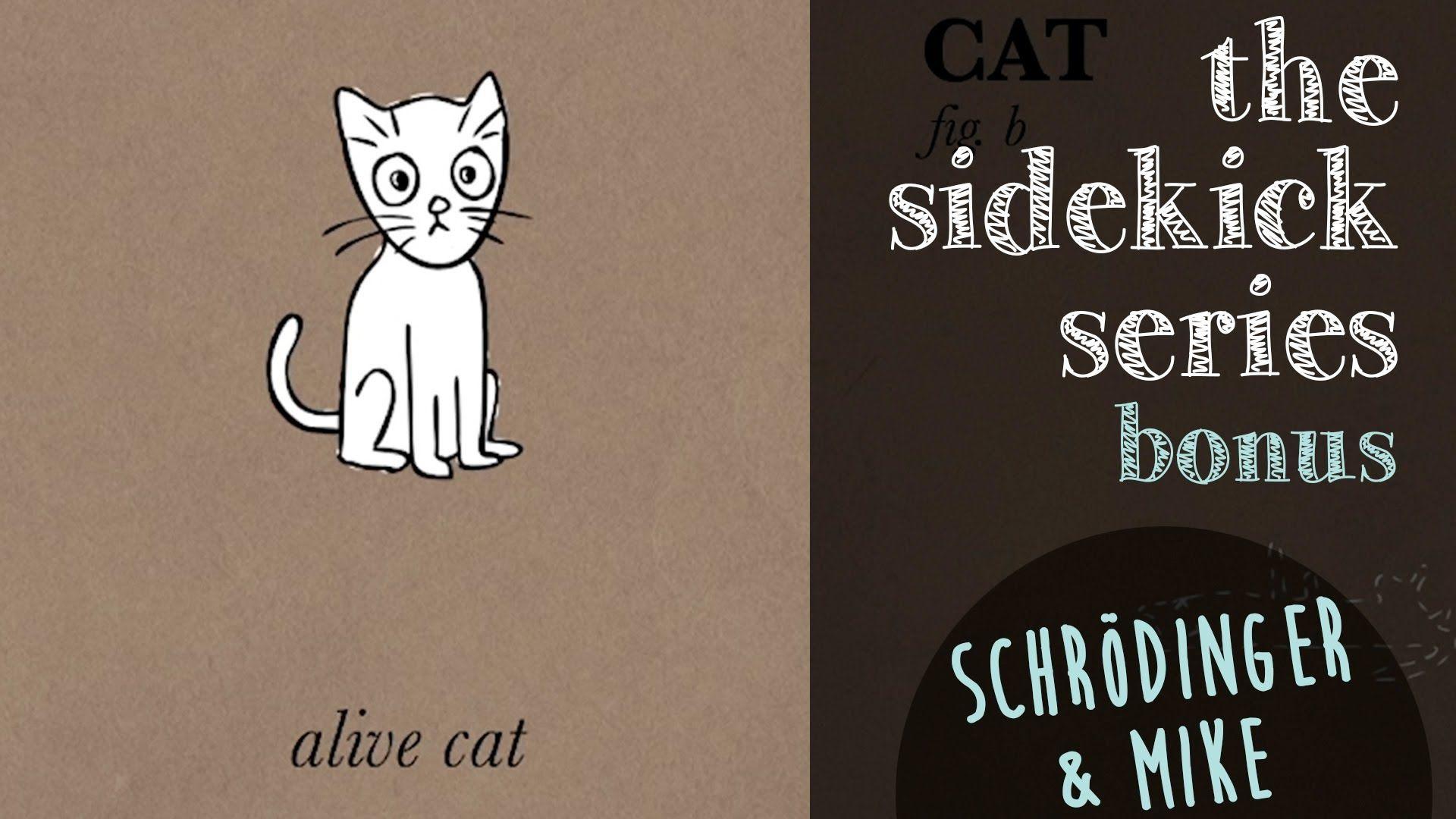 Schrödinger's Cat Wallpapers - Top Free Schrödinger's Cat Backgrounds - WallpaperAccess