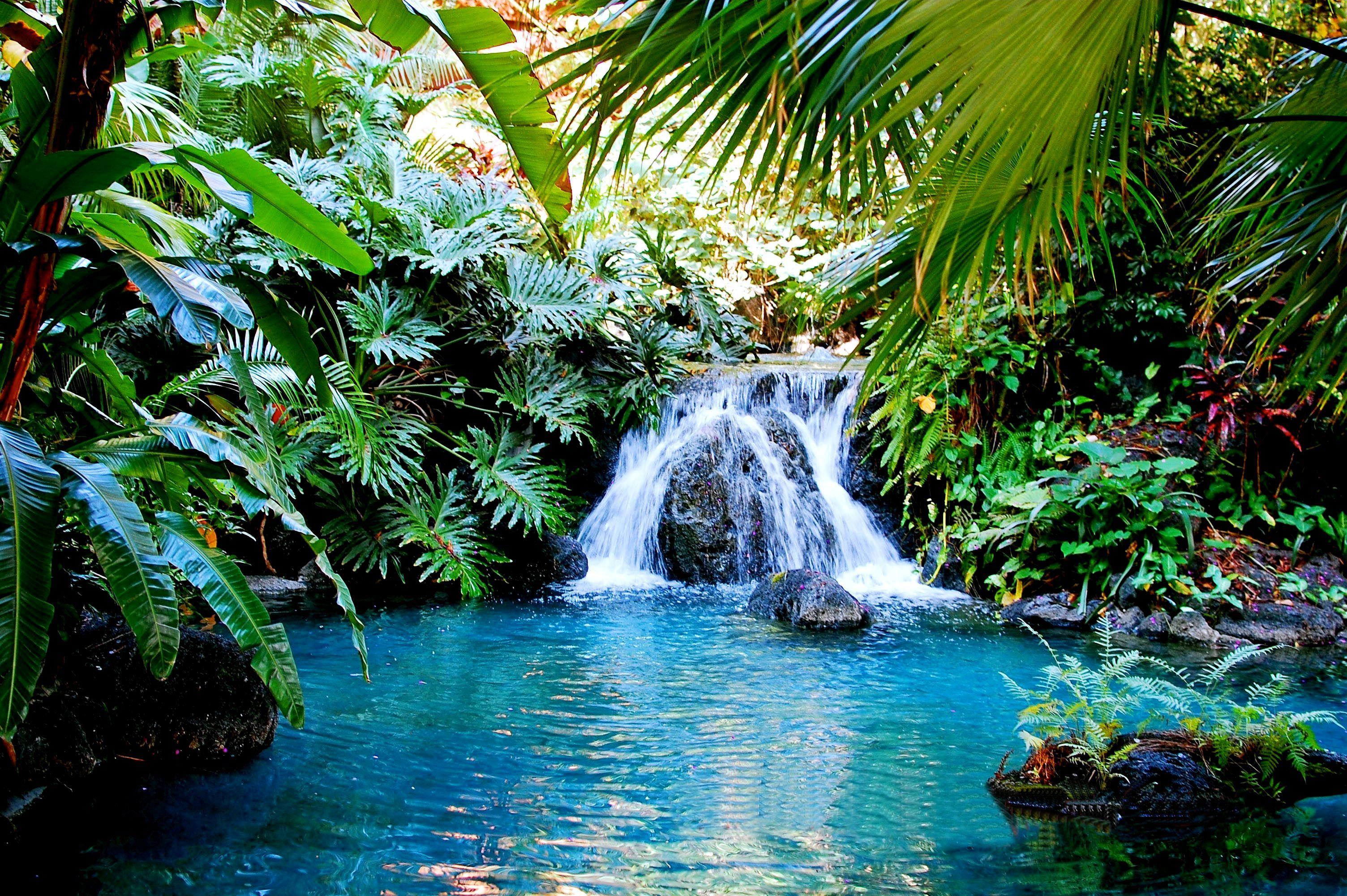 Экзотическая природа. Азорские острова водопады. Тропики. Тропическая природа. Тропический пейзаж.