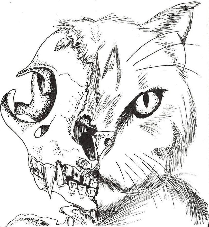 859x929 Schrodinger's Cat By Dafter Punk