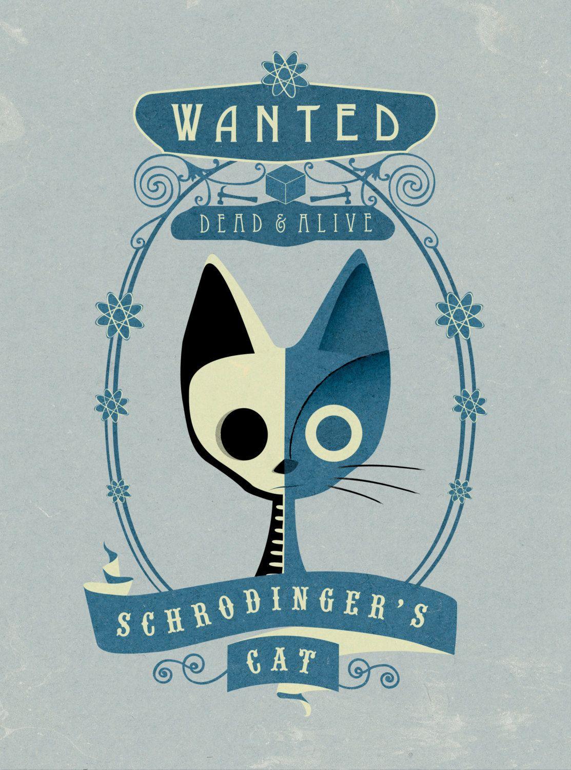 Schrödinger's Cat Wallpapers - Top Free Schrödinger's Cat Backgrounds - WallpaperAccess