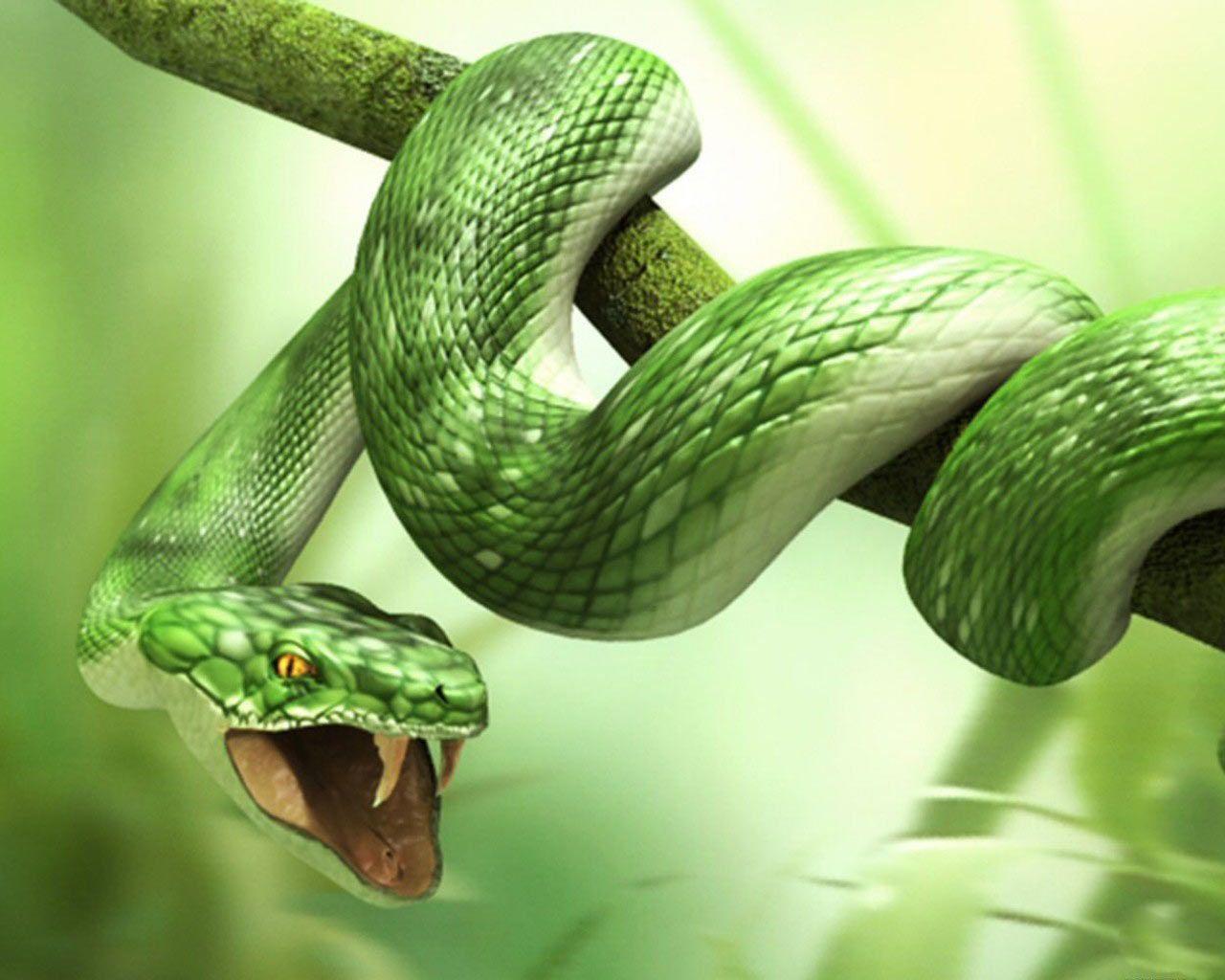 1280x1024 Snake Wallpaper Full HD