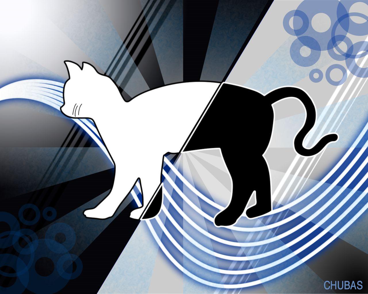 Schrödinger's Cat Wallpapers - Top Free Schrödinger's Cat Backgrounds - WallpaperAccess