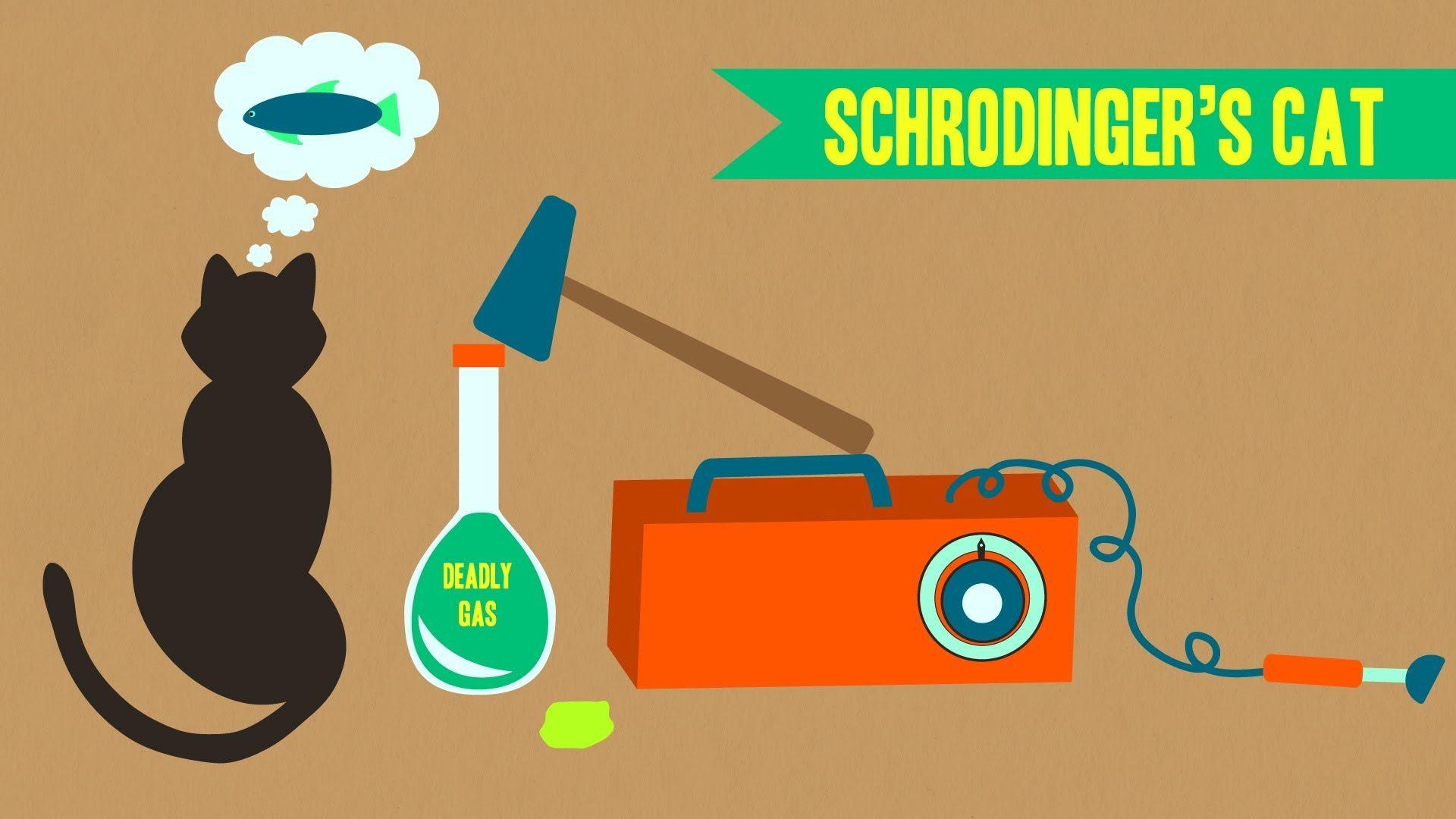 Schrödinger's Cat Wallpapers - Top Free Schrödinger's Cat Backgrounds - WallpaperAccess