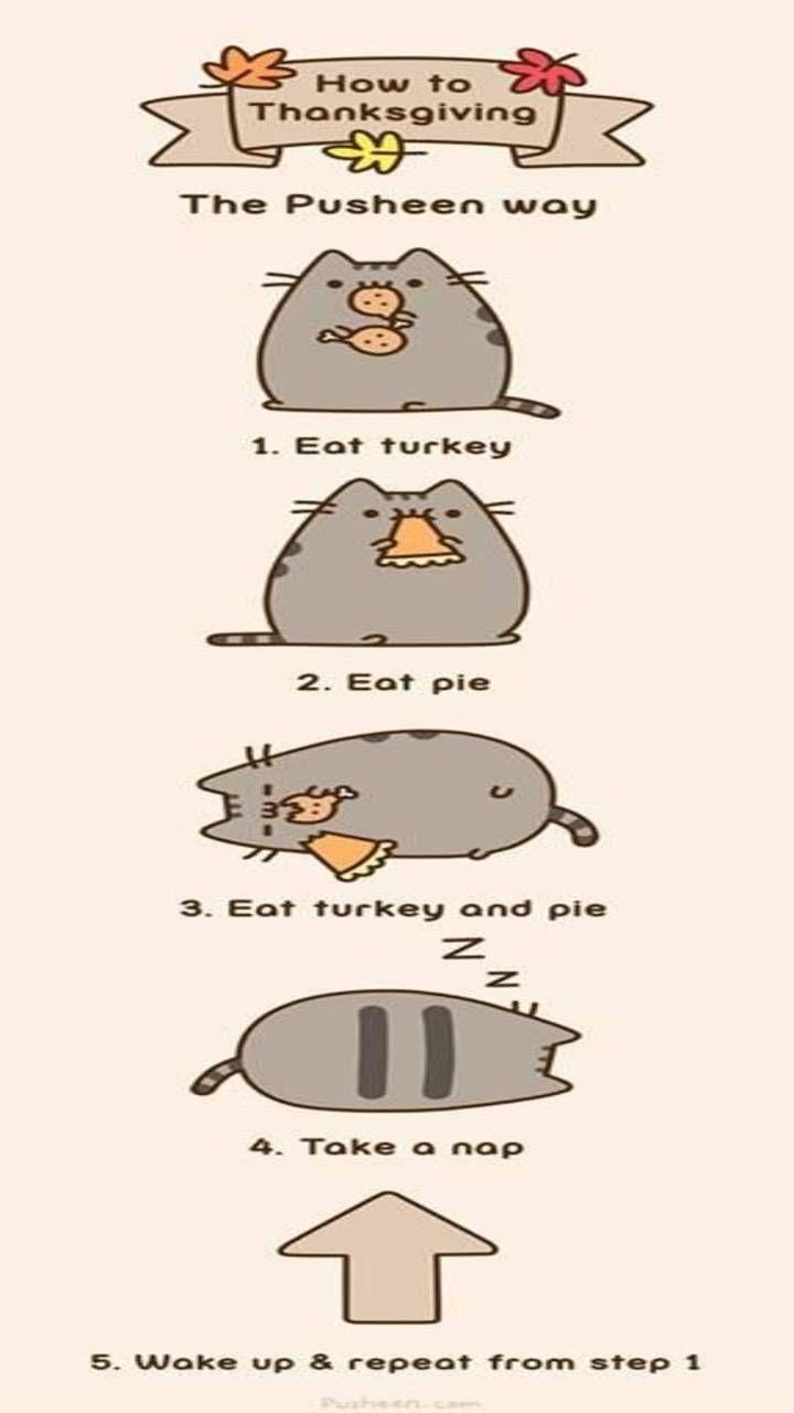 720x1280 Pusheen Thanksgiving wallpaper