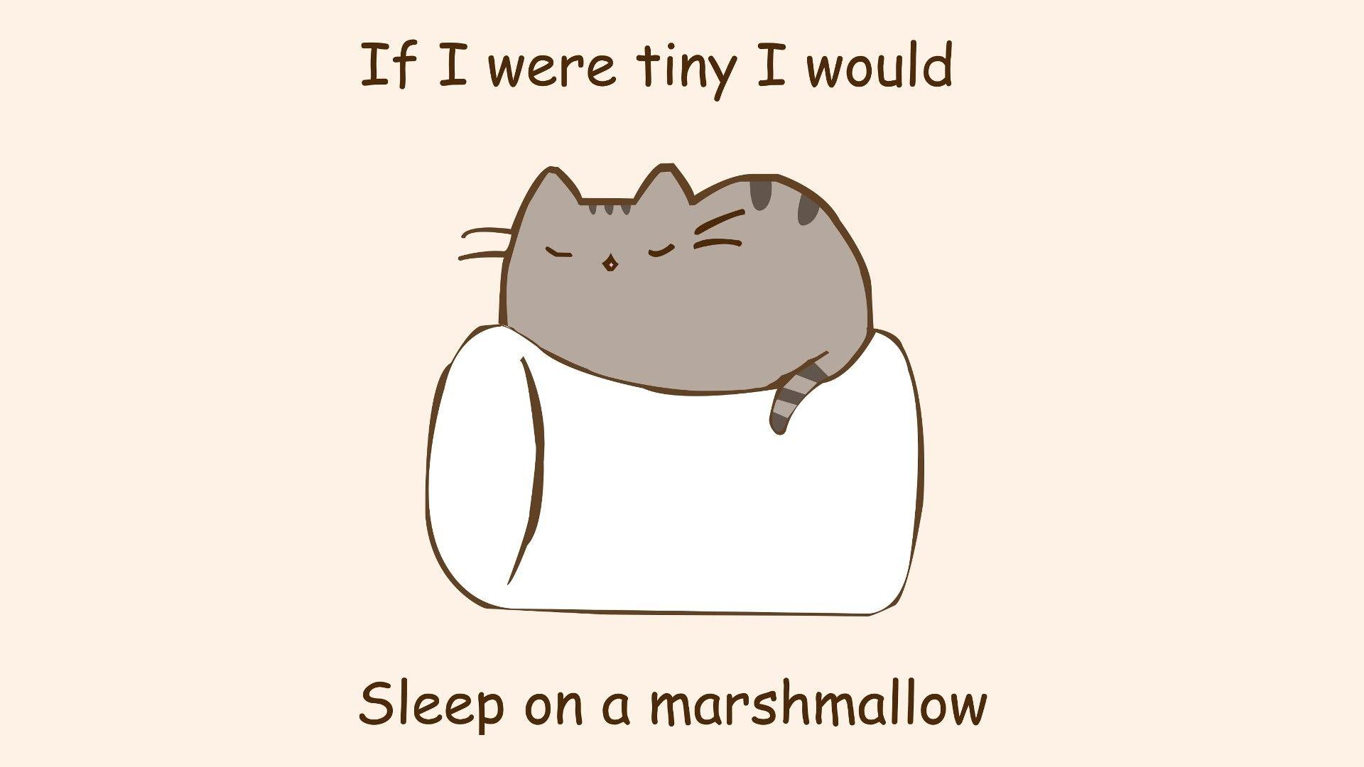 1920x1080 #marshmallows, #quote, #cat, #pusheen, #humor, #artwork