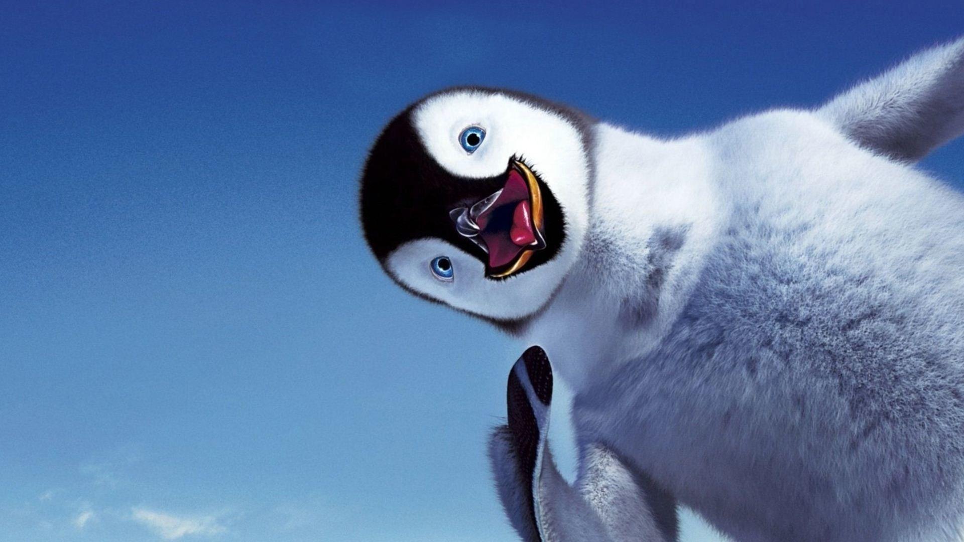1920x1080 Moving Penguin Wallpaper