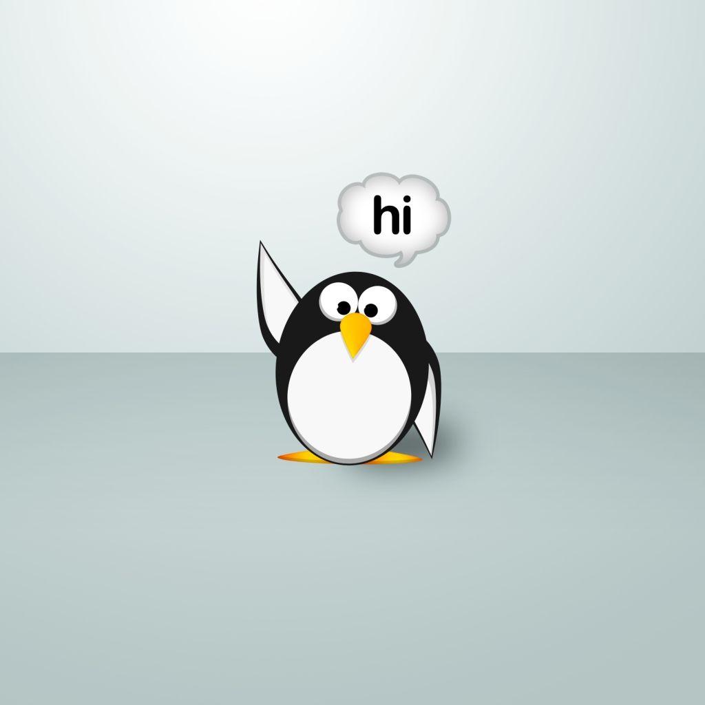 1024x1024 Free download Funny Penguin Download wallpaper Gallery 1024x1024