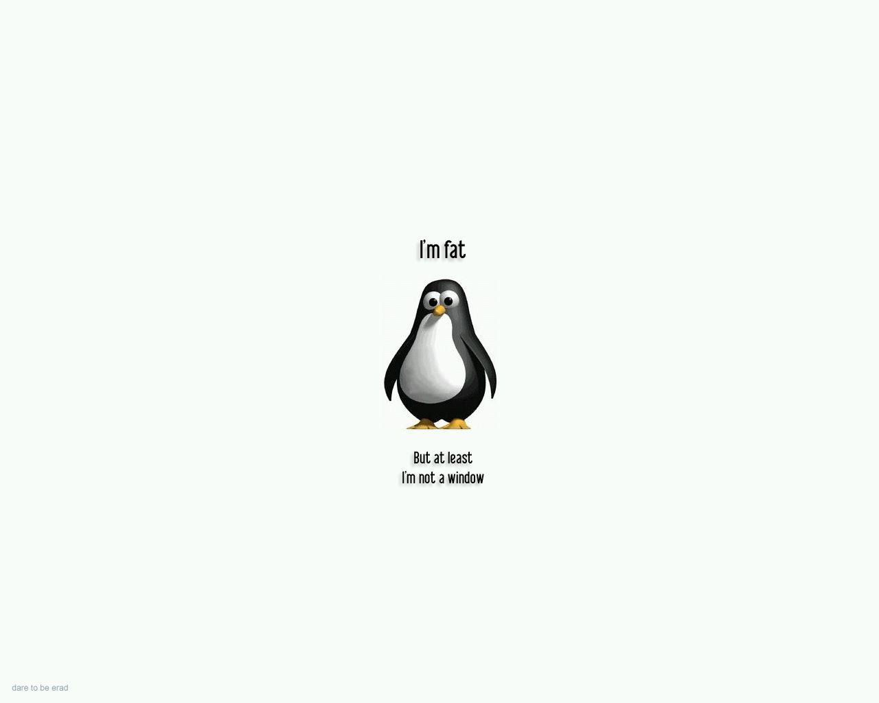 1280x1024 Free download Penguin Fun wallpaper [1280x1024] for your Desktop