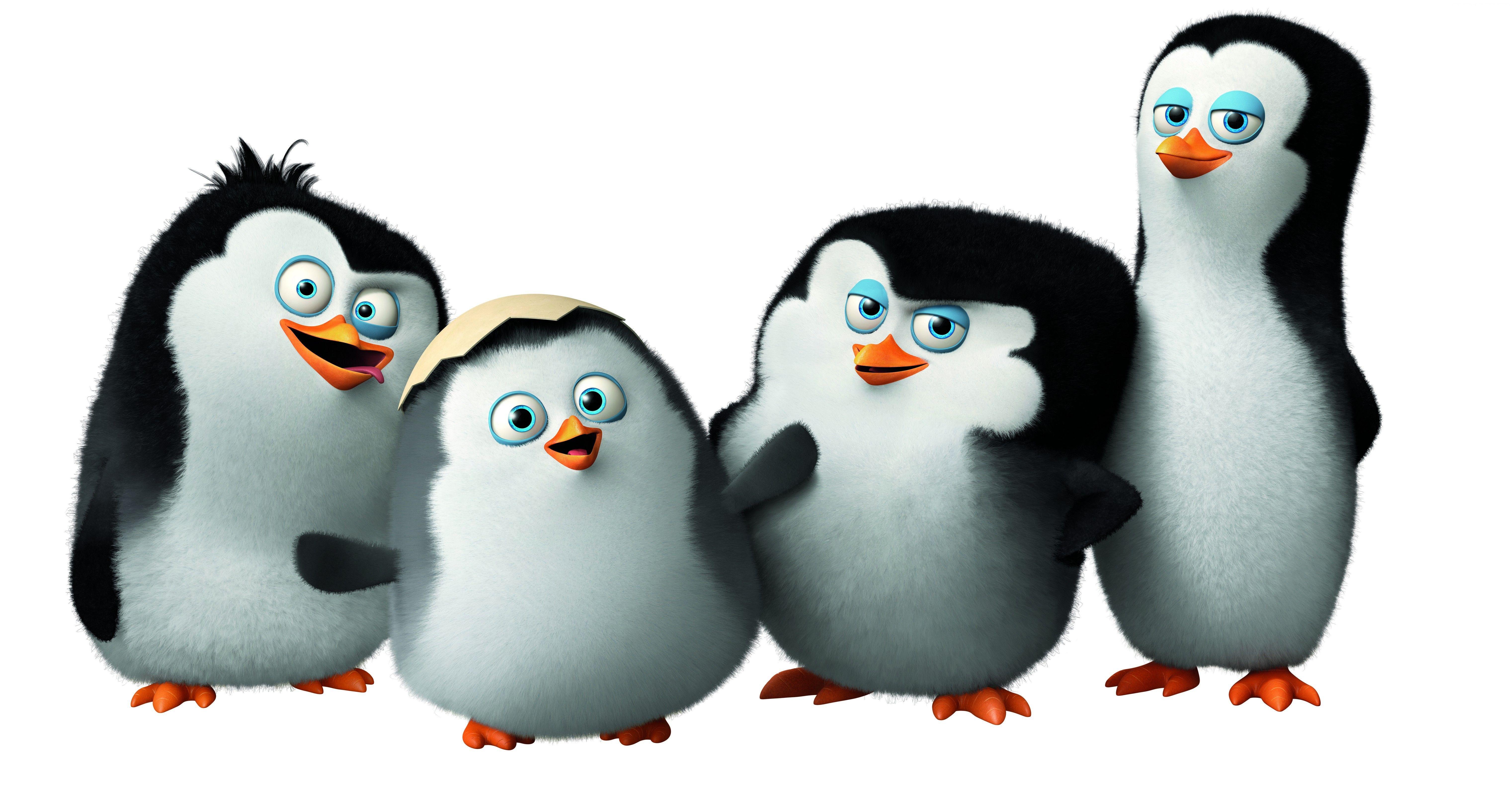 6085x3166 #HD, #watch, #Rico, #cartoon, #Madagascar, #Skipper