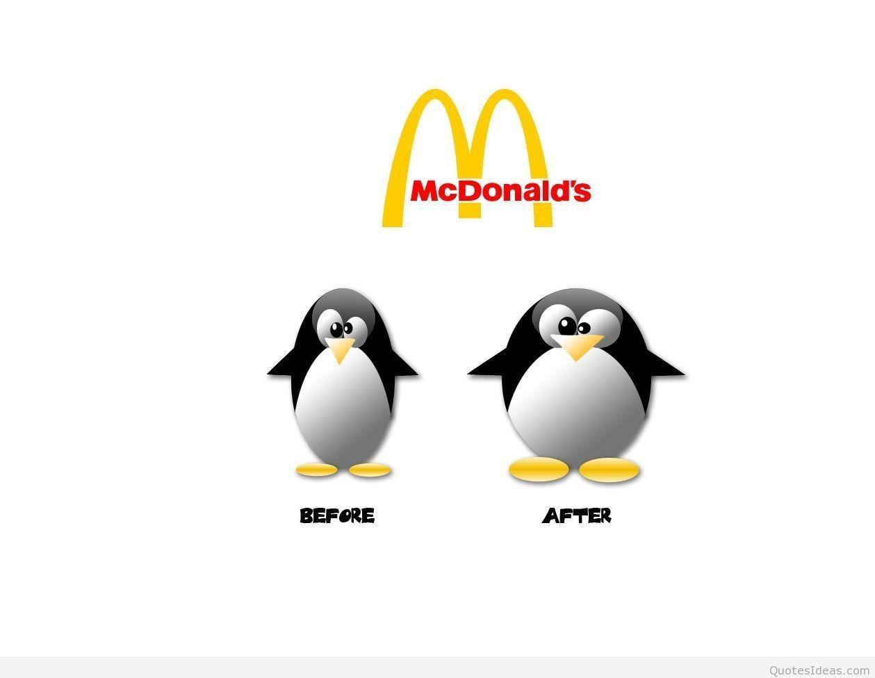 1259x976 Free download Penguin Fun wallpaper [1259x976] for your Desktop