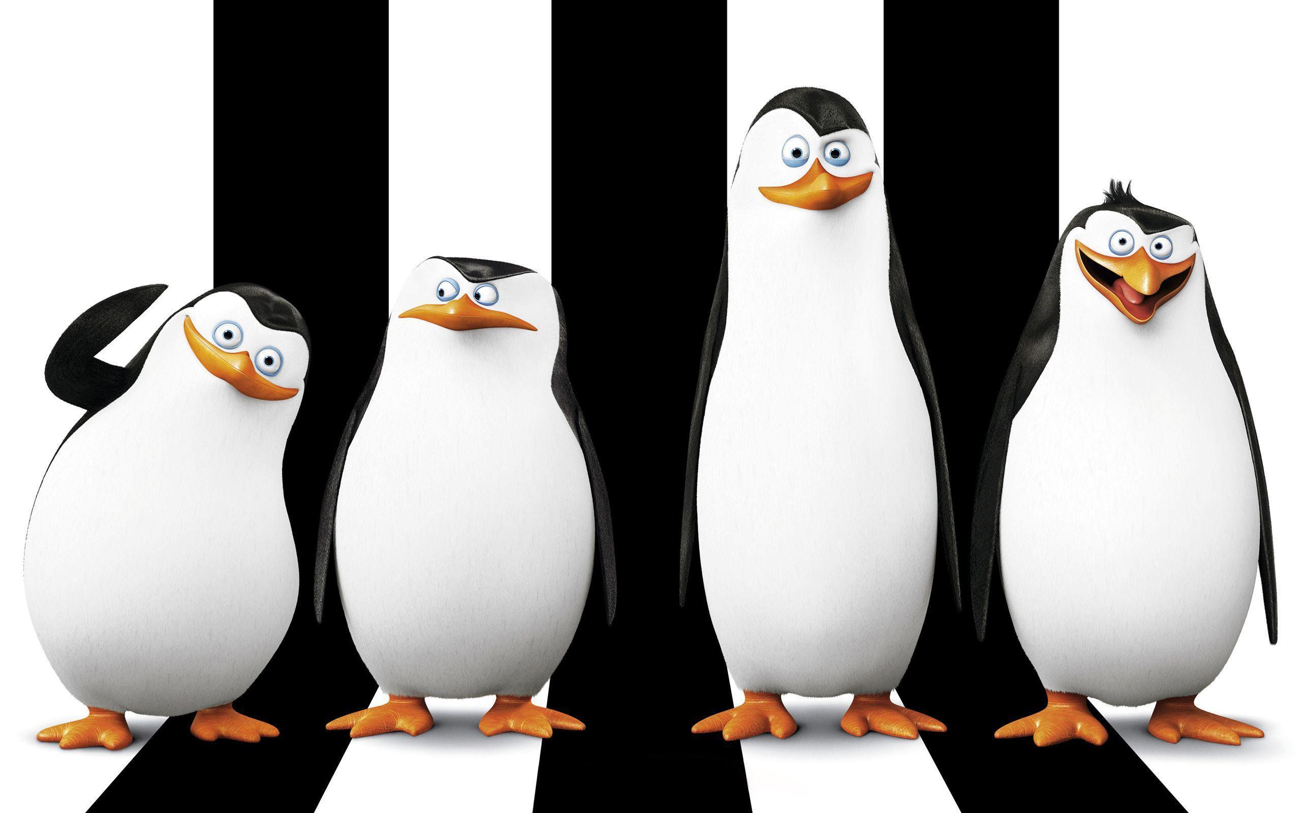 2560x1600 Penguins Of Madagascar Wallpaper