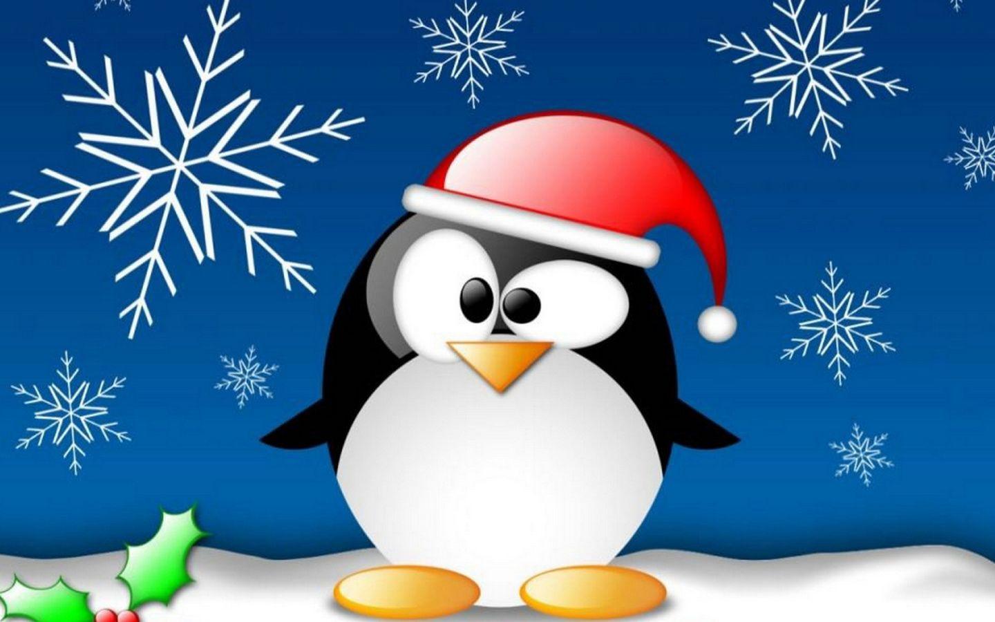 1440x900 Funny penguin on Christmas Desktop wallpaper 1440x900