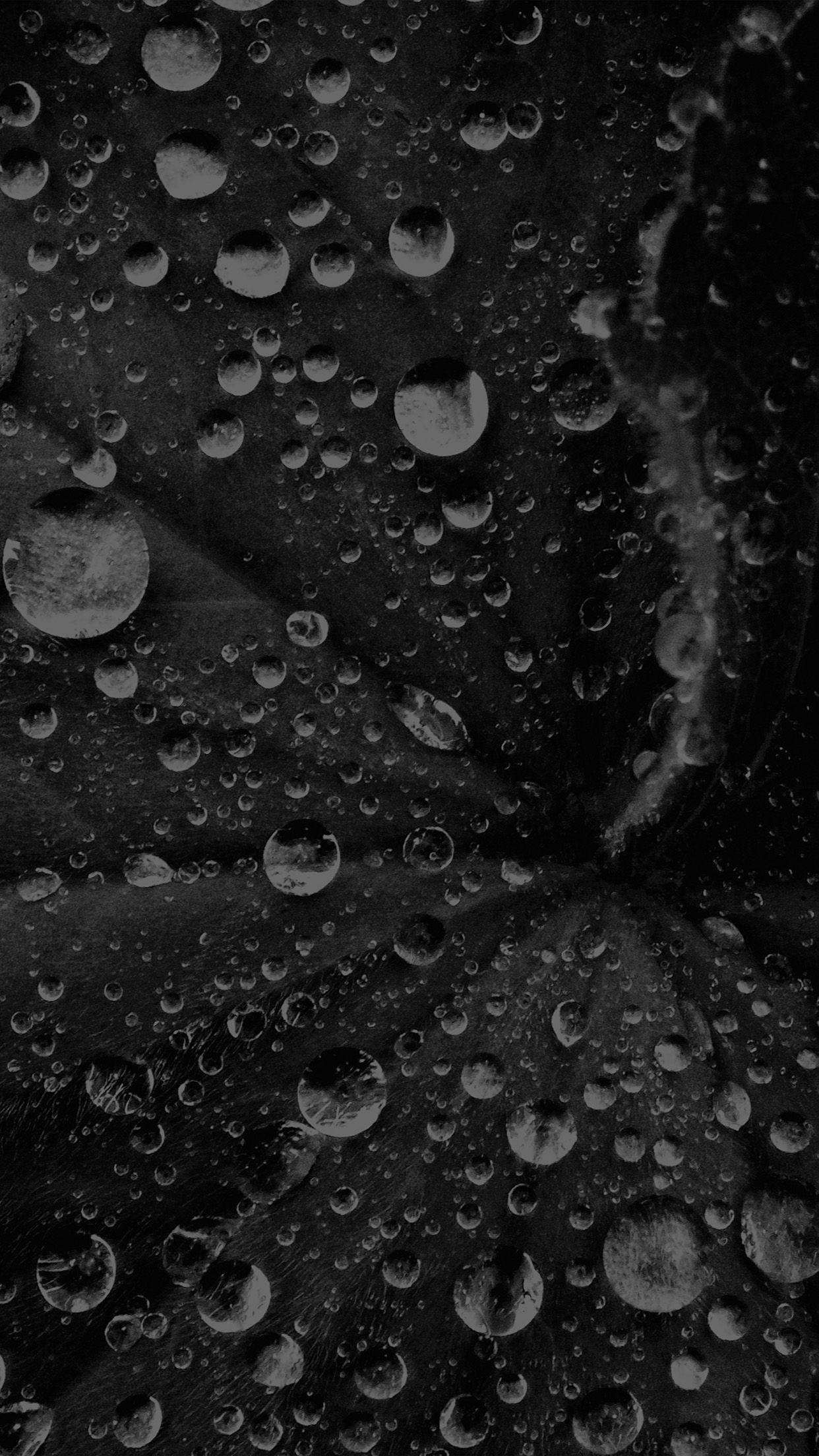 1242x2208 iPhone7 wallpaper. water drop on leaf