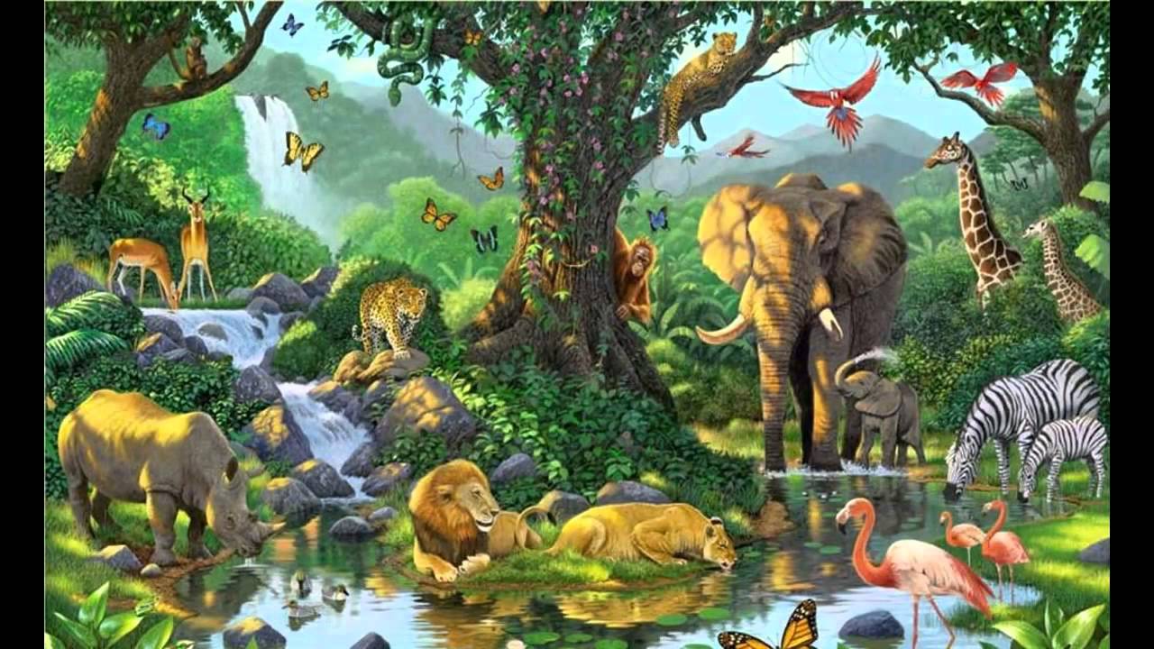 Cartoon Jungle Wallpapers - Top Free Cartoon Jungle Backgrounds