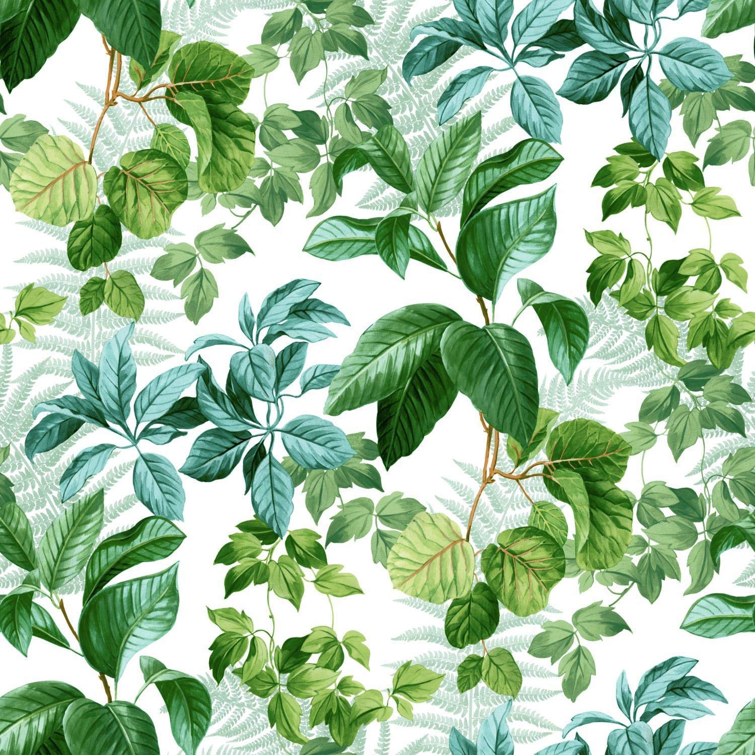 Jungle Leaves Wallpapers - Top Free Jungle Leaves Backgrounds - WallpaperAccess