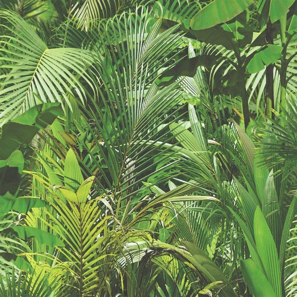 Jungle Leaves Wallpapers - Top Free Jungle Leaves Backgrounds