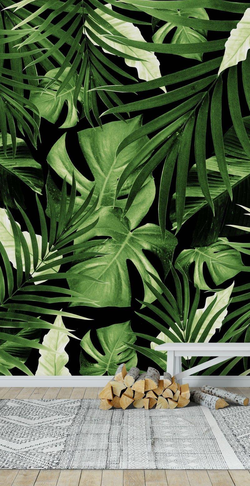 Jungle Leaves Wallpapers Top Free Jungle Leaves Backgrounds