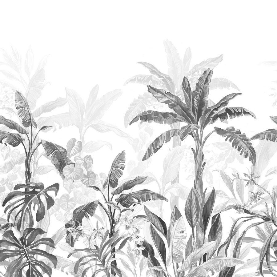 900x900 Jungle Palms Wall Mural Leaves