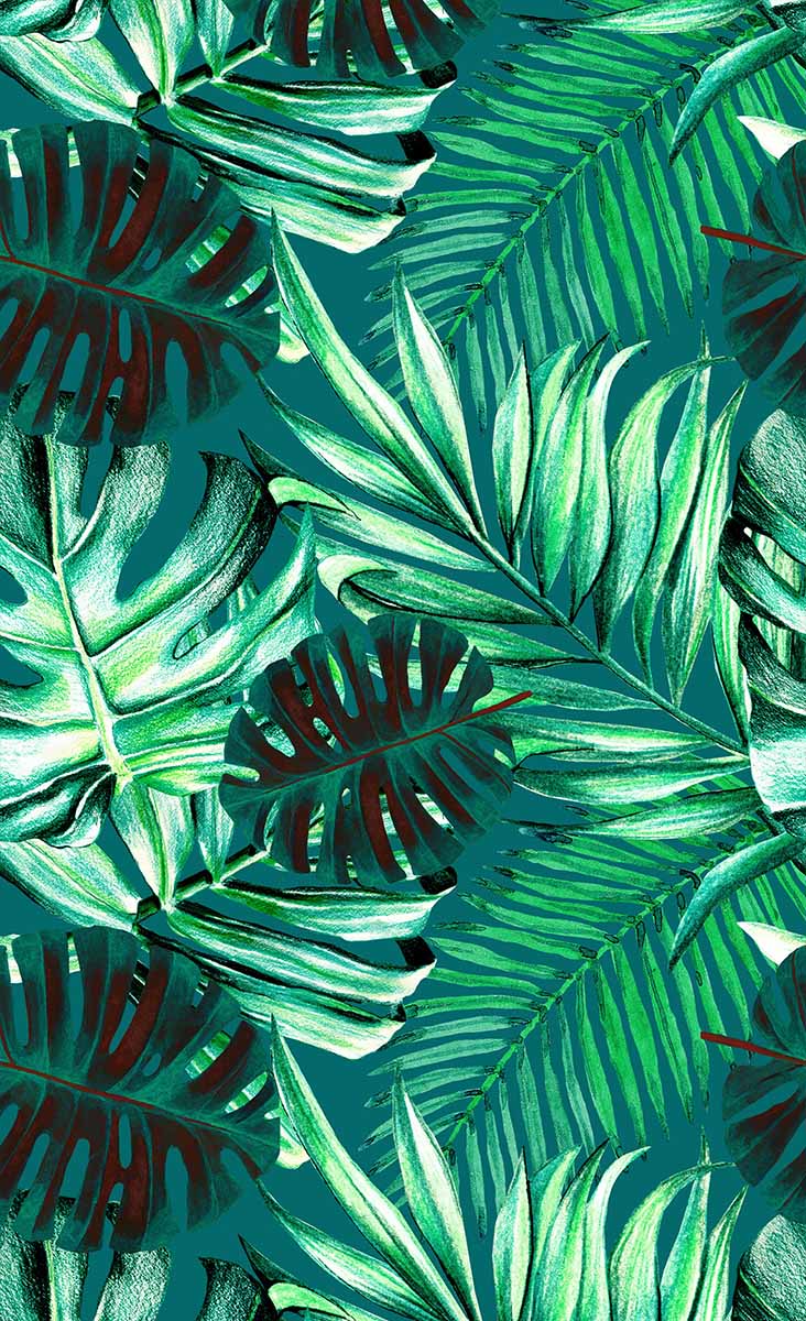 732x1200 Papier peint Rainforest