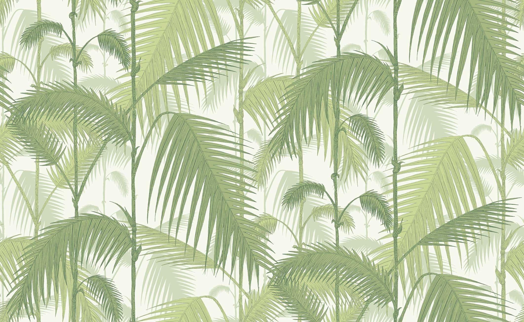 Jungle Leaves Wallpapers - Top Free Jungle Leaves Backgrounds