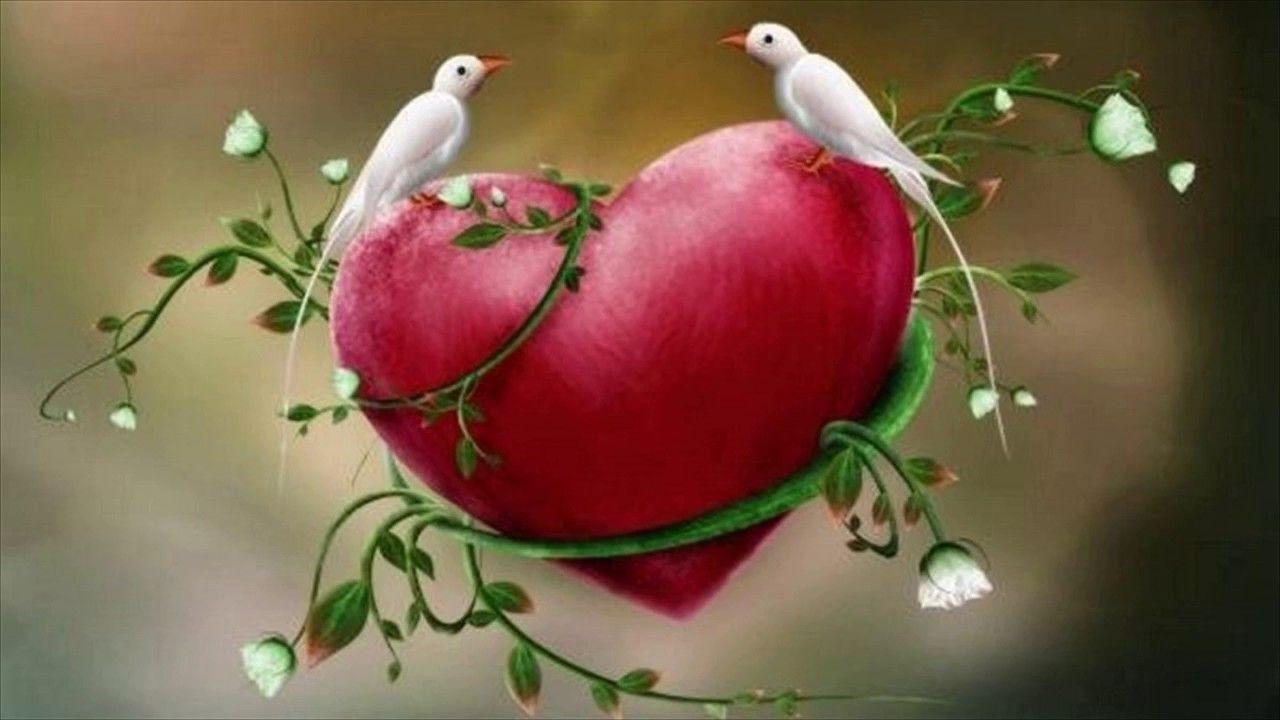 1280x720 Love Birds Wallpaper For Mobile Birds