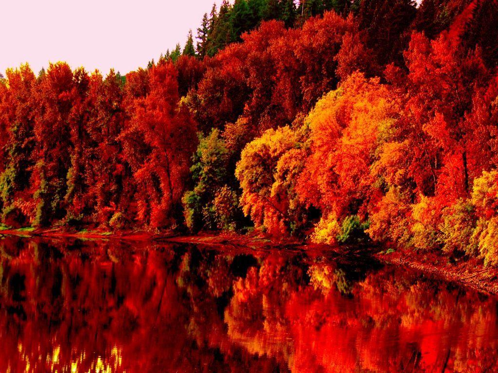 Lake Fall Nature Wallpapers - Top Free Lake Fall Nature Backgrounds -  WallpaperAccess