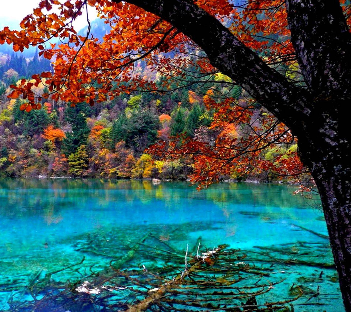 Autumn Lake Wallpapers - Top Free Autumn Lake Backgrounds - WallpaperAccess