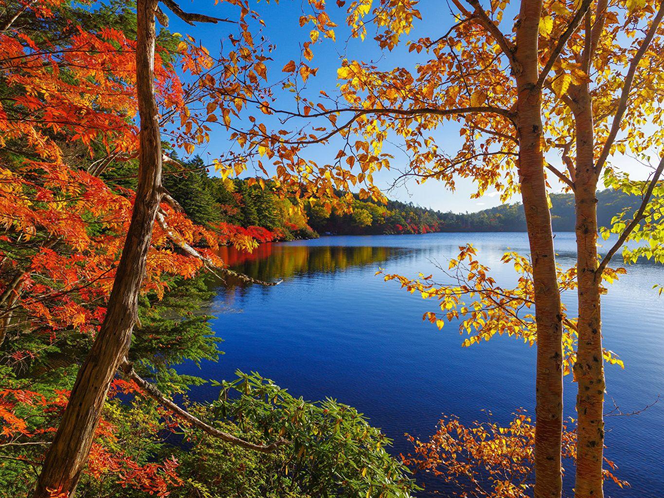 1365x1024 Picture Nature Autumn Lake Forests landscape photography Seasons