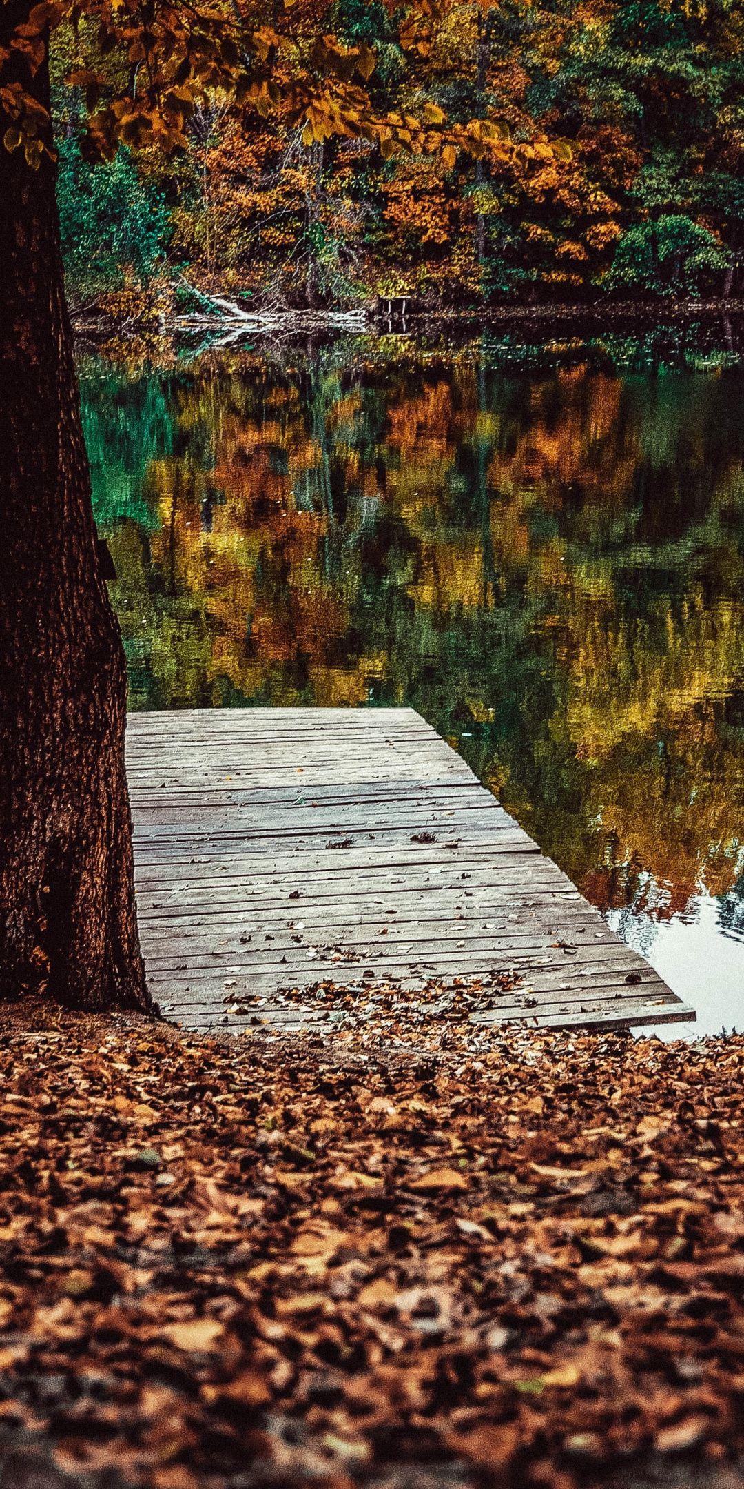 1080x2160 Download 1080x2160 wallpaper pier, lake, fall, leaves, autumn