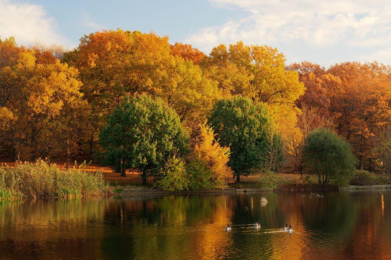 1280x851 Desktop Wallpaper Nature Autumn Lake Seasons