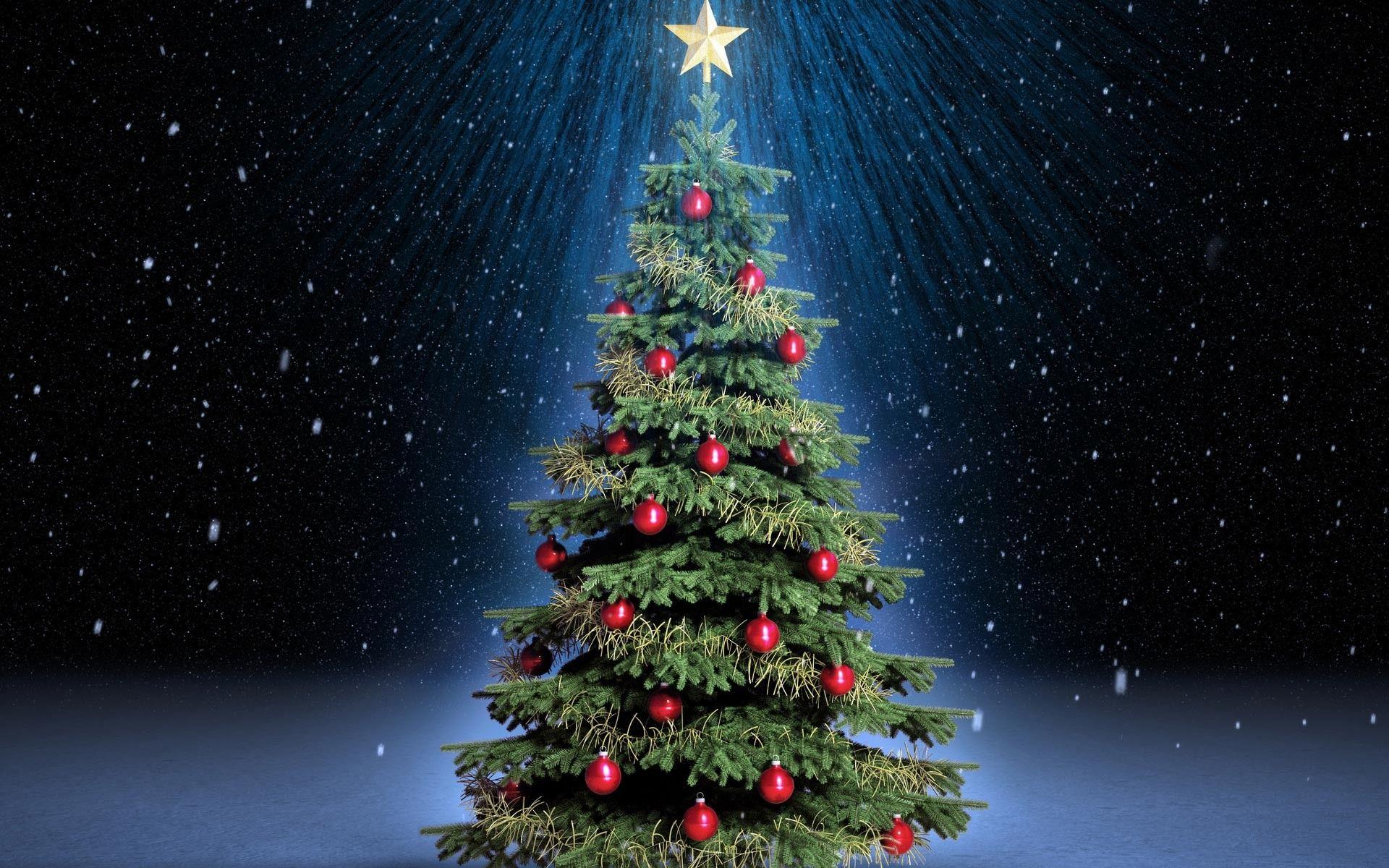 1920x1200 Christmas Tree Desktop Background
