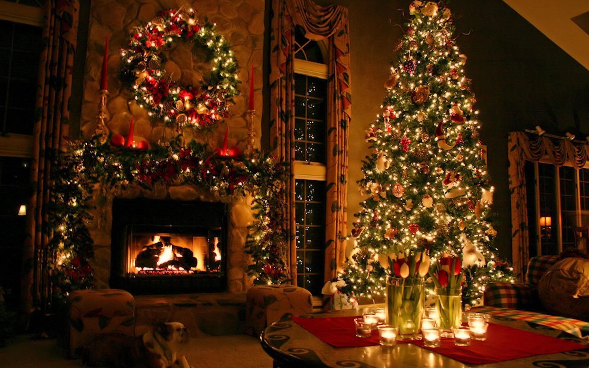 1920x1200 Beautiful Christmas Tree Wallpaper Desktop Wallpaper. High