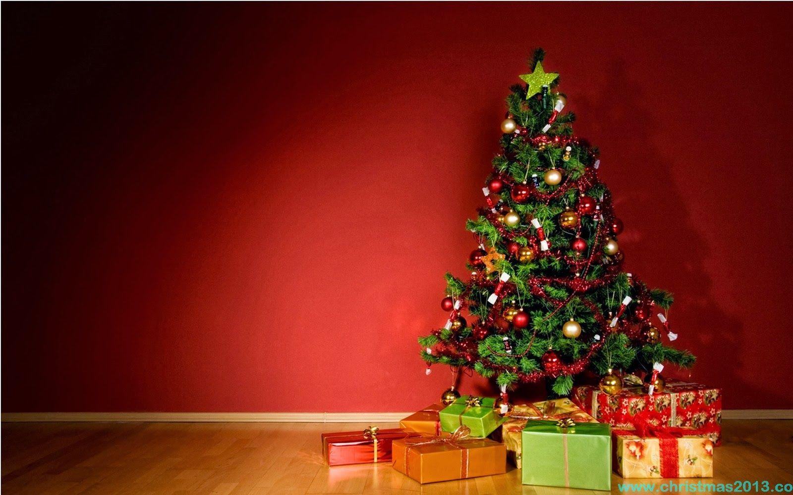 1600x1000 Free download Christmas Tree Wallpaper for Desktop HD wallpaper [1600x1000] for your Desktop, Mobile & Tablet. Explore Christmas Tree Background. Christmas Tree Background Wallpaper, Christmas Desktop Free Theme Wallpaper