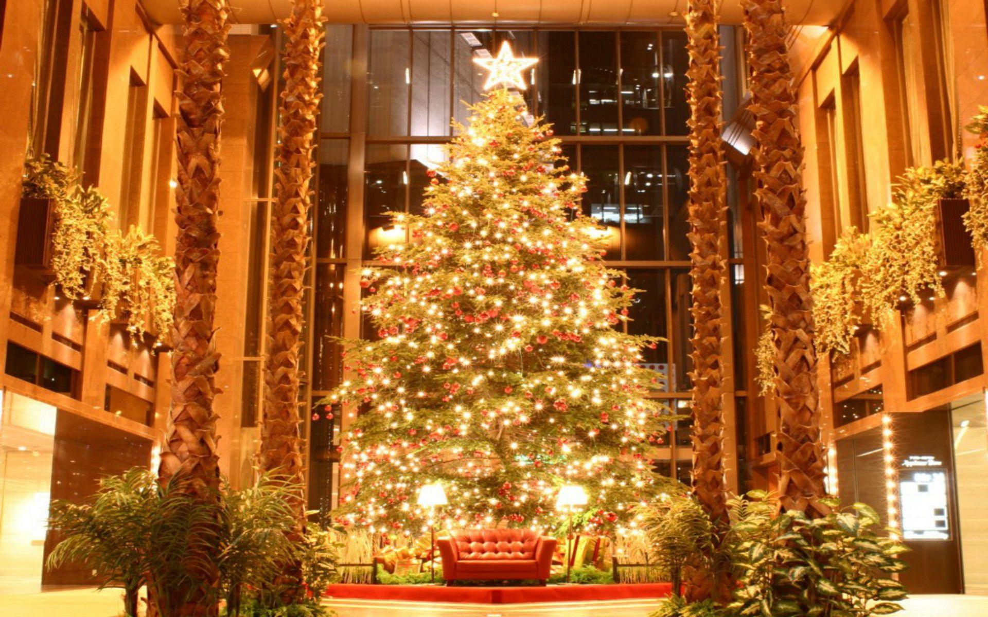 1920x1200 Christmas Village Christmas Tree Snow Wallpaper HD Christmas Tree Background Wallpaper & Background Download