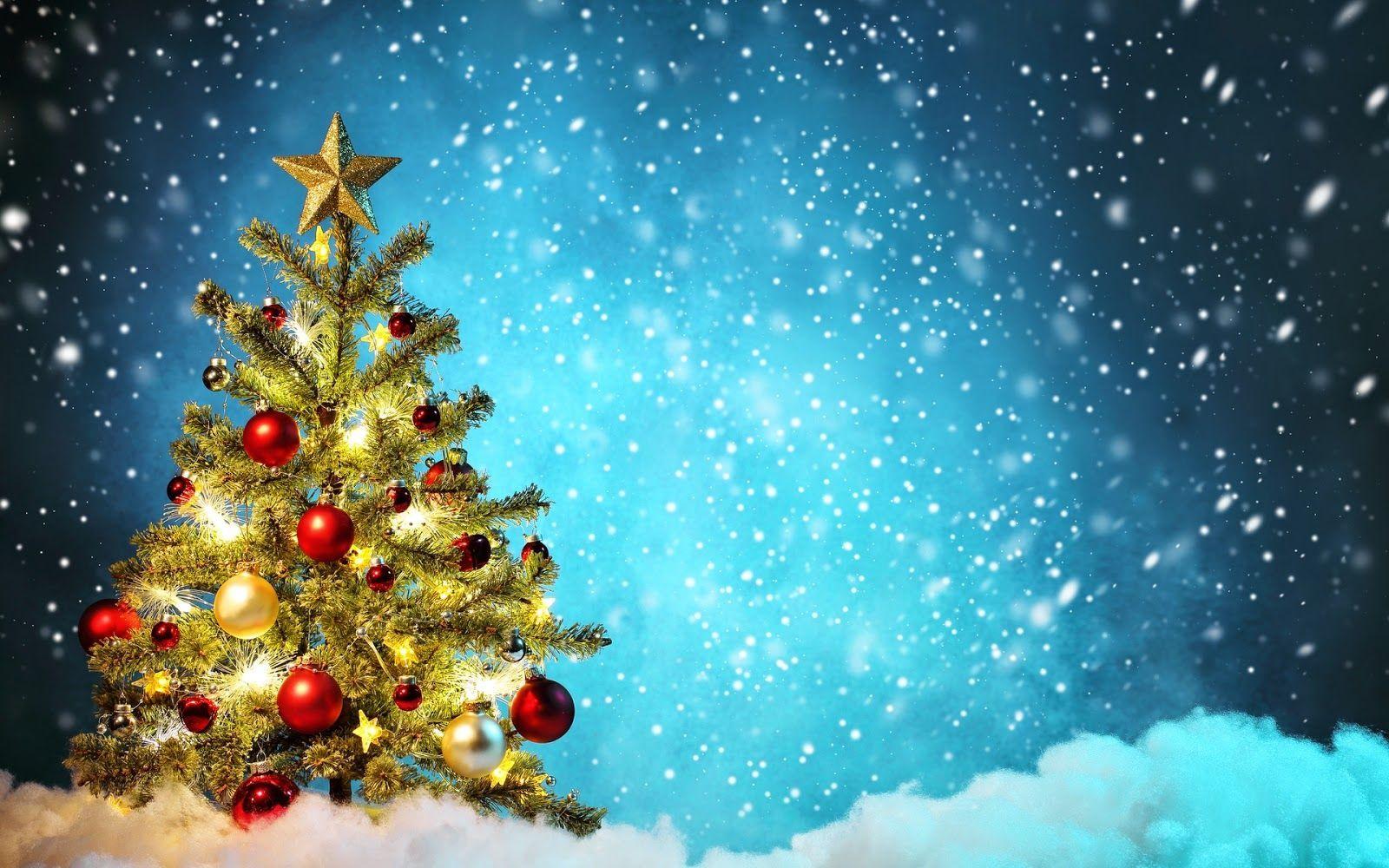 1600x1000 Christmas tree wallpaper ideas. christmas tree wallpaper, christmas wallpaper, beautiful christmas