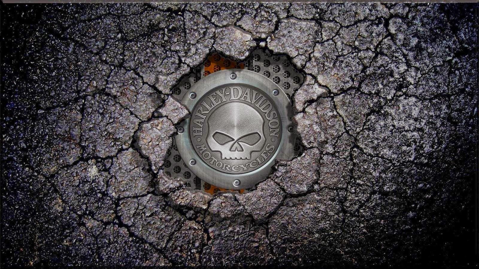 1600x900 Harley Skull Wallpaper