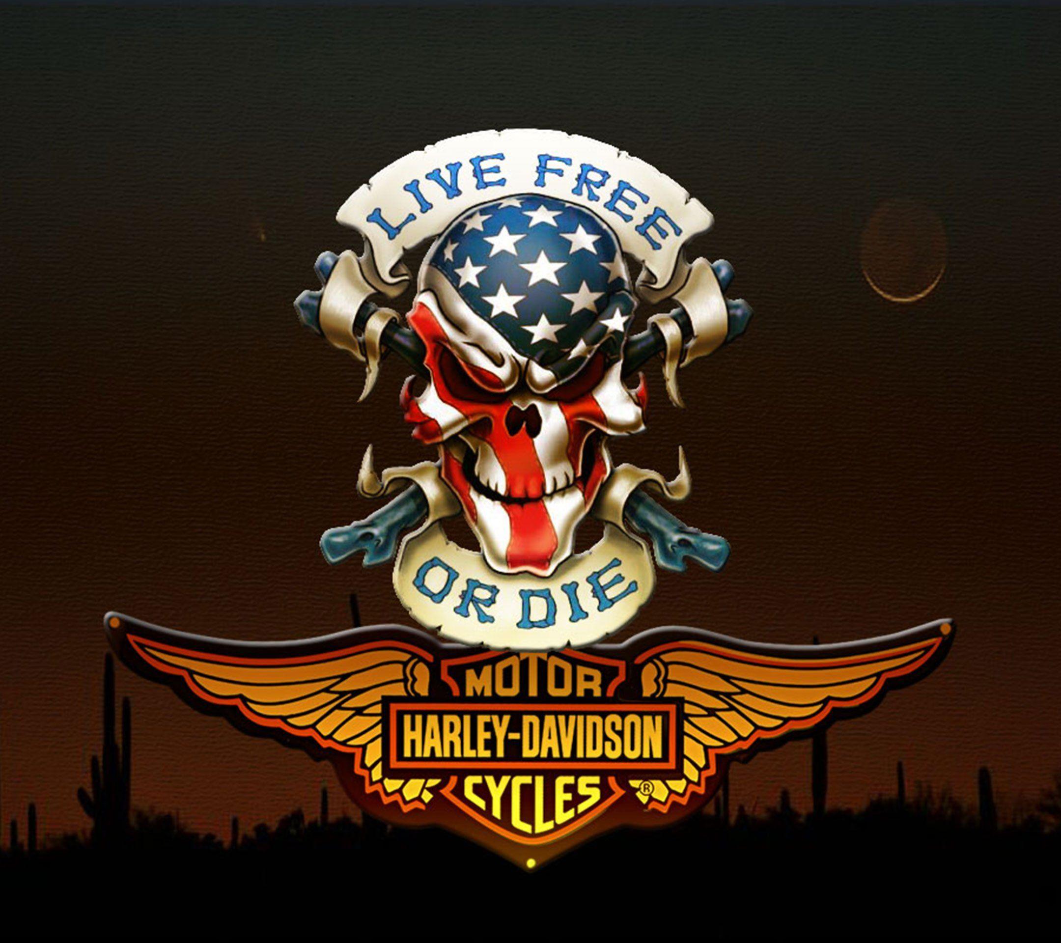 2160x1920 Harley davidson skull Logos