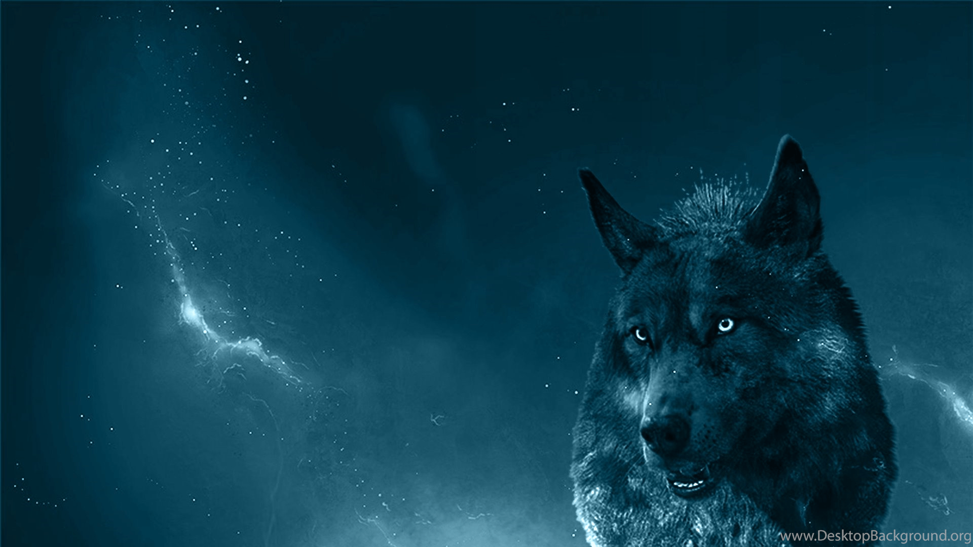1920x1080 Wolf Wallpaper Tải xuống - Blue Wolf - HD Wallpaper